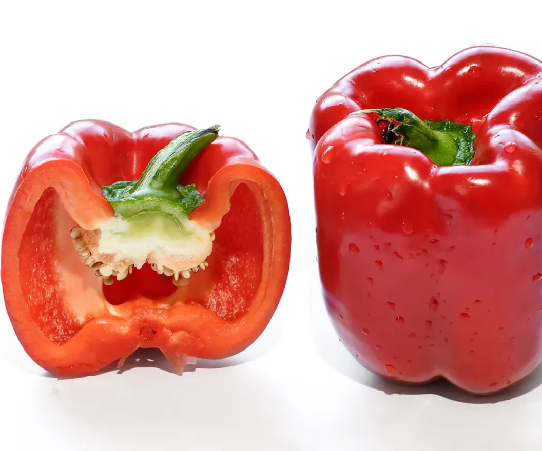 Fresh Egyptian bell peppers in three colours