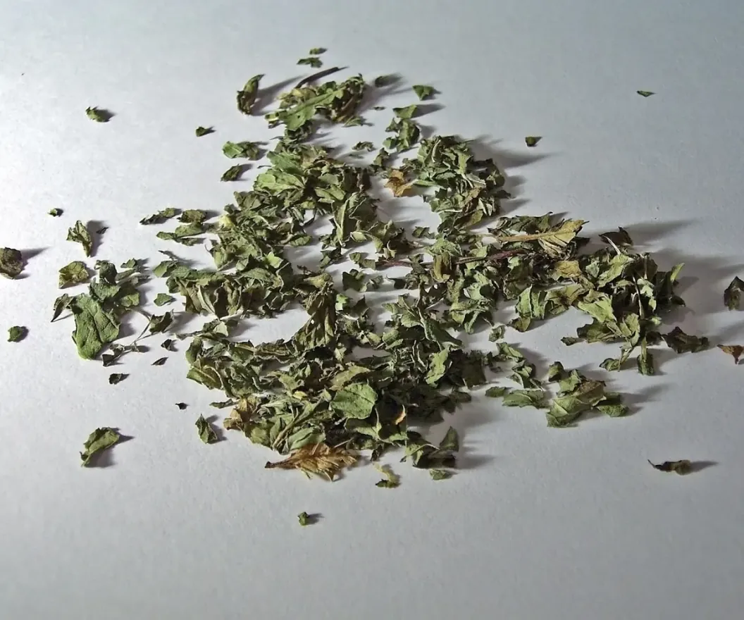 Dried Egyptian peppermint