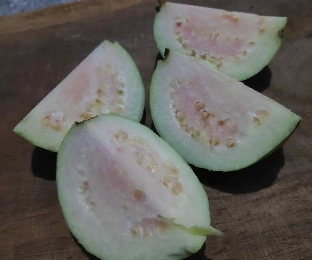 Egyptian IQF guava pieces