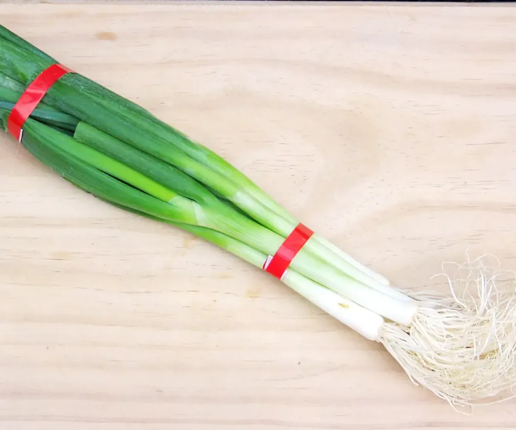 Fresh Egyptian spring onions